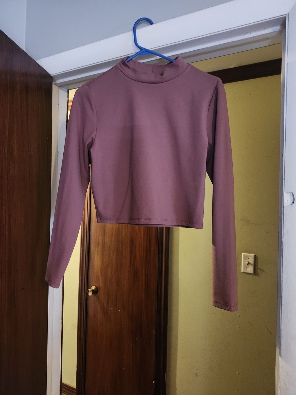 wild fable Mauve Long-Sleeve Mock Neck Crop Top